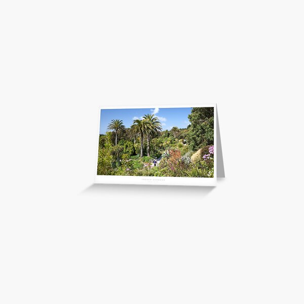Tresco Gardens, Isles of Scilly Greeting Card
