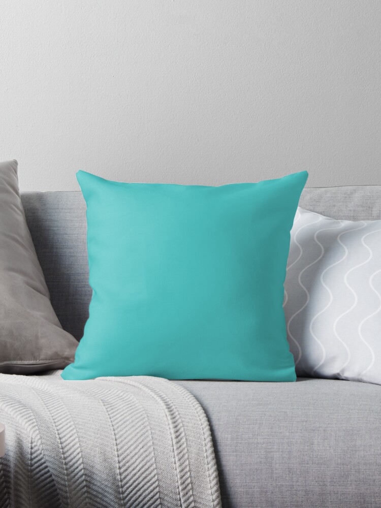 aqua colored throw pillows