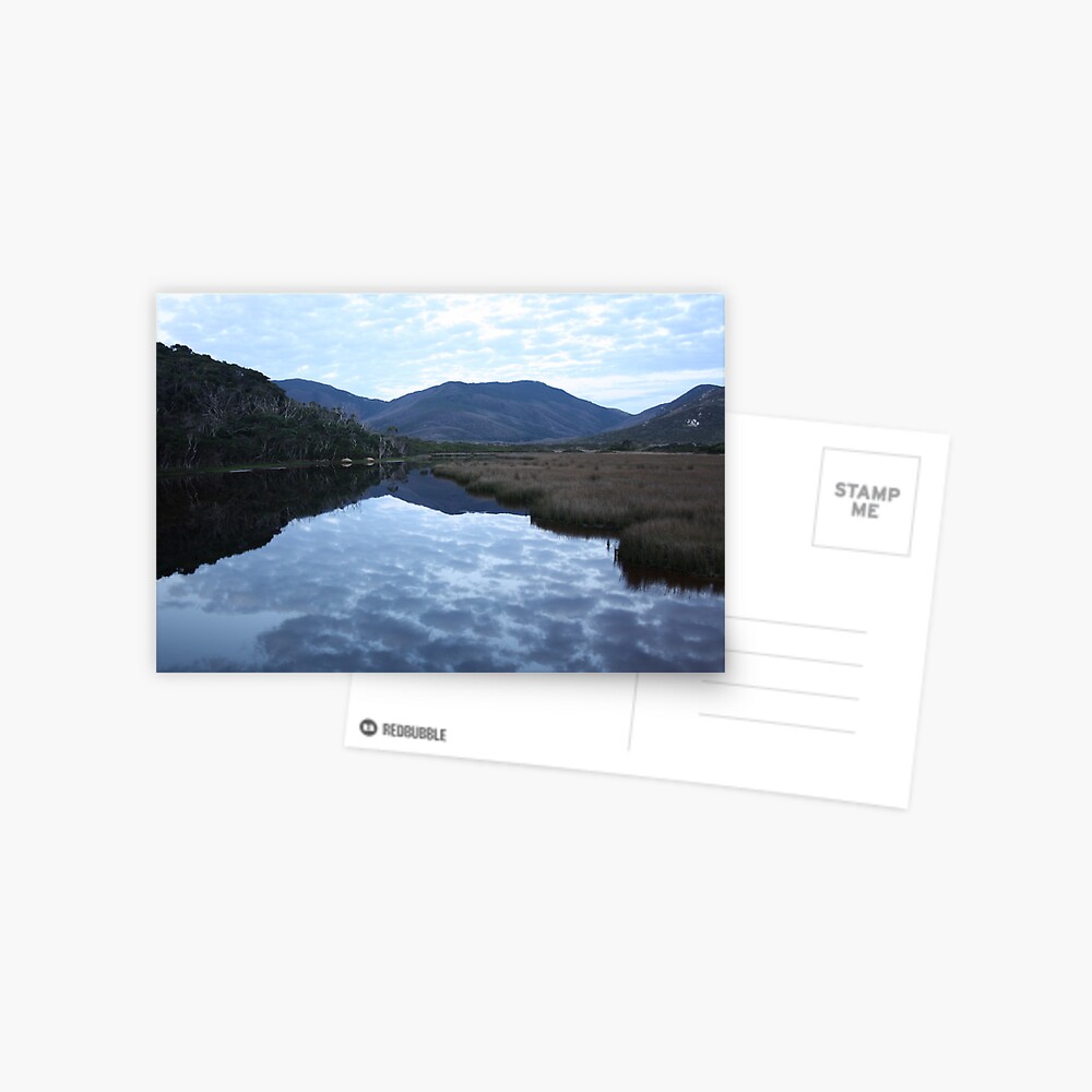 Item preview, Postcard designed and sold by shep34.