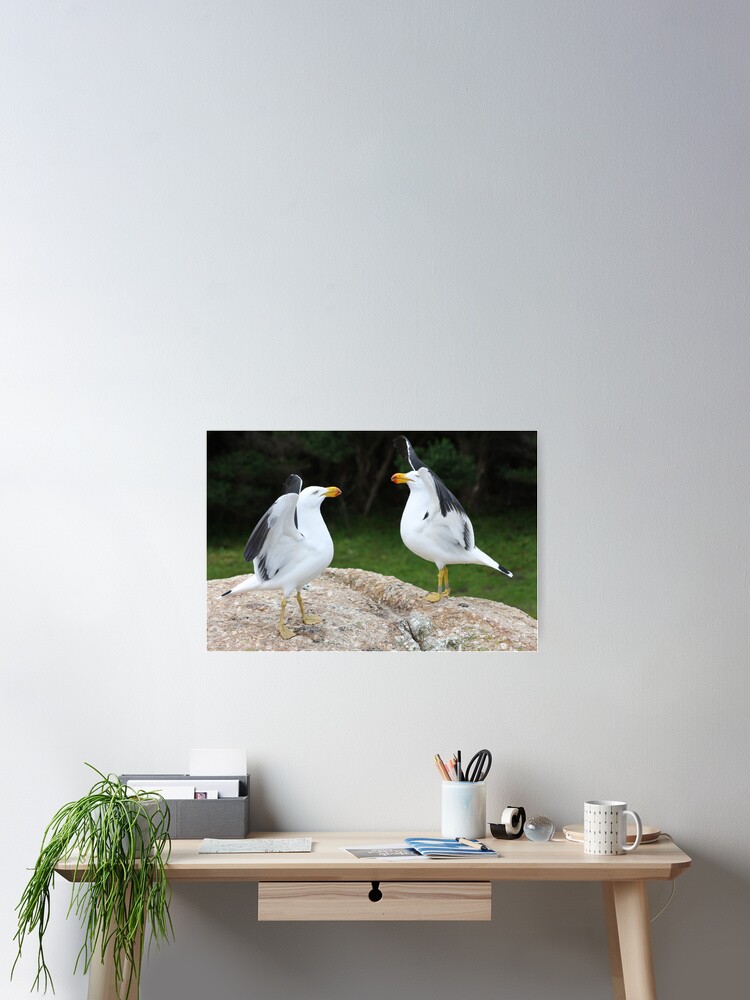 Thumbnail 1 of 3, Poster, Flapping their wings designed and sold by shep34.