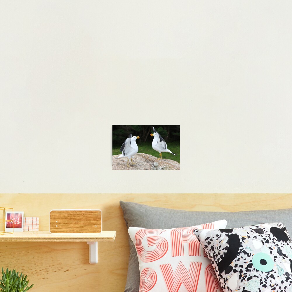 Item preview, Photographic Print designed and sold by shep34.