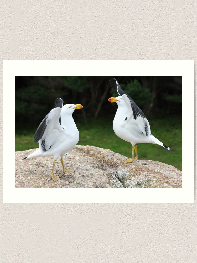 Thumbnail 2 of 3, Art Print, Flapping their wings designed and sold by shep34.