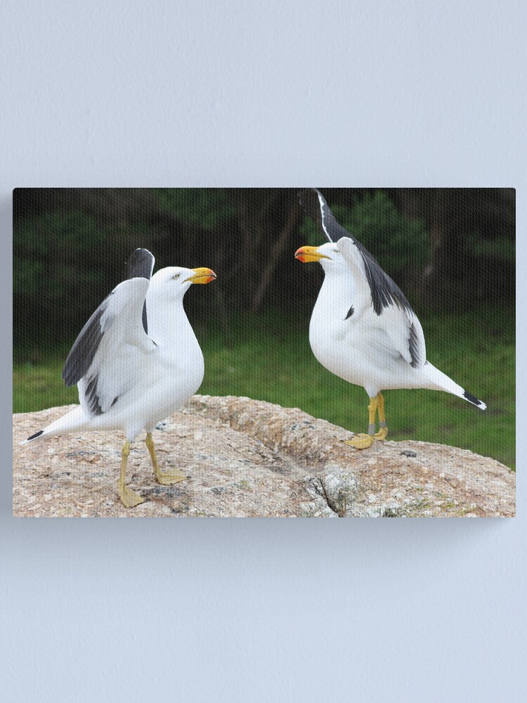 Thumbnail 2 of 3, Canvas Print, Flapping their wings designed and sold by shep34.