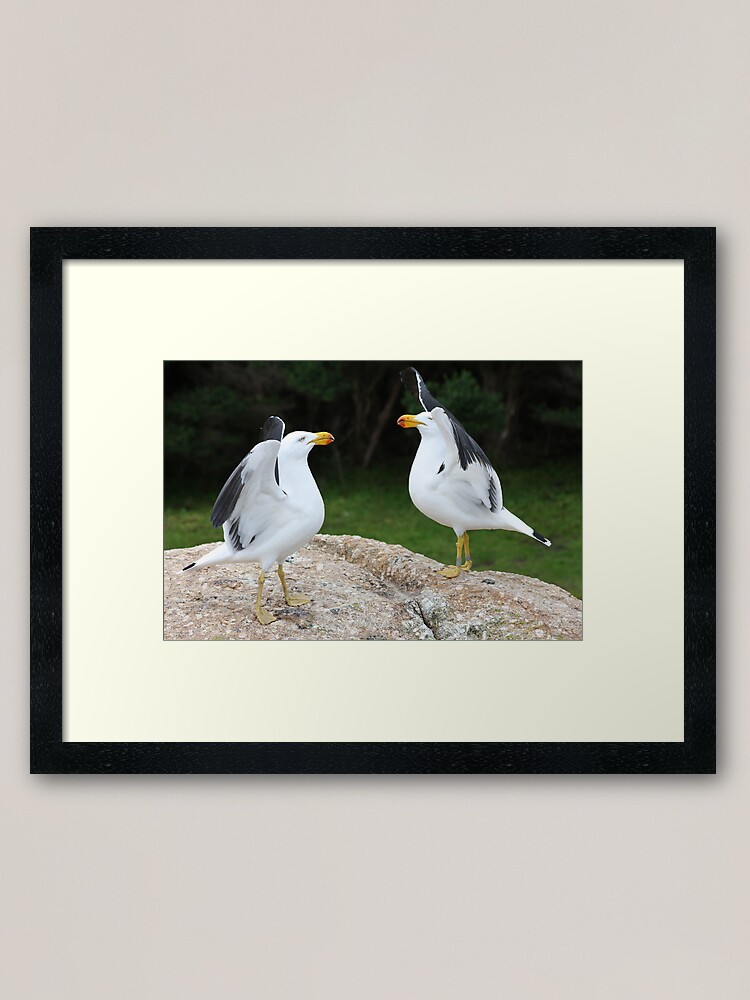 Thumbnail 2 of 7, Framed Art Print, Flapping their wings designed and sold by shep34.