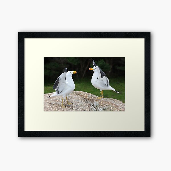 Framed Art Print