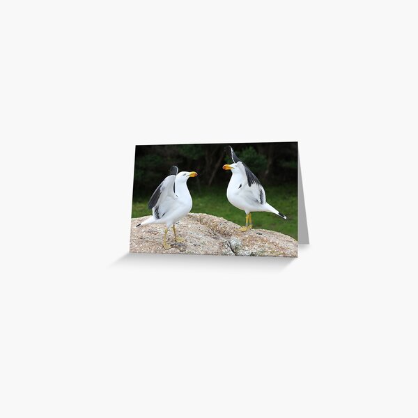 Item preview, Flapping their wings designed and sold by Glen Sheppard.