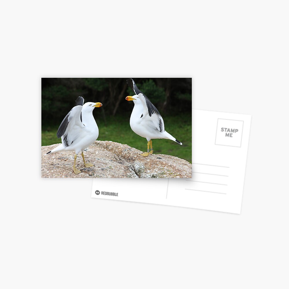 Item preview, Postcard designed and sold by shep34.