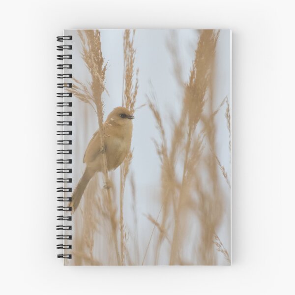 Item preview, Bearded Tit designed and sold by LaurenTucker.