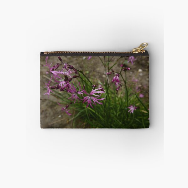 Item preview, Ragged Robin (Lychnis flos-cuculi) designed and sold by IOMWildFlowers.