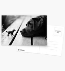 Mini Me Postcards