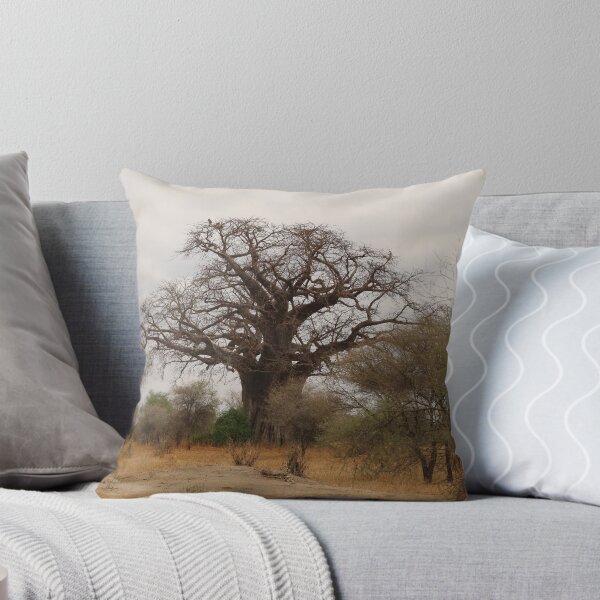 Item preview, Africa, Tanzania, trees, baobab, baobab, photography, BebiCervin designed and sold by BebiCervin.