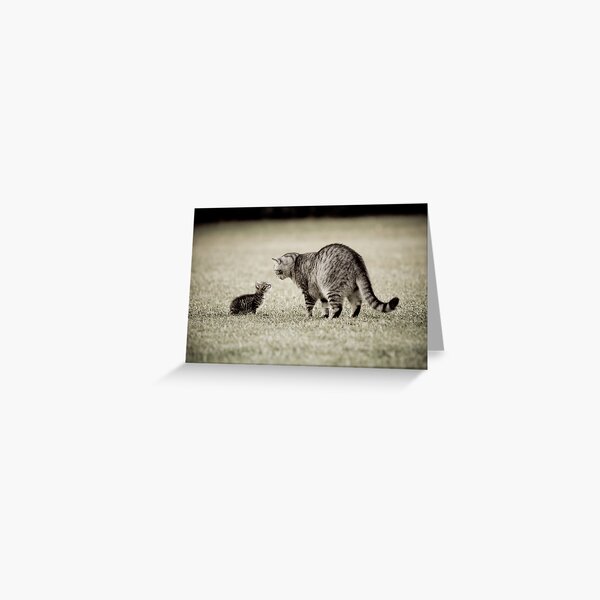 New Kid on the Block Greeting Card