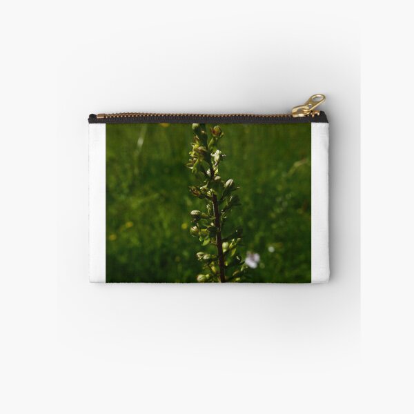 Item preview, Common Twayblade (Neottia ovata) designed and sold by IOMWildFlowers.