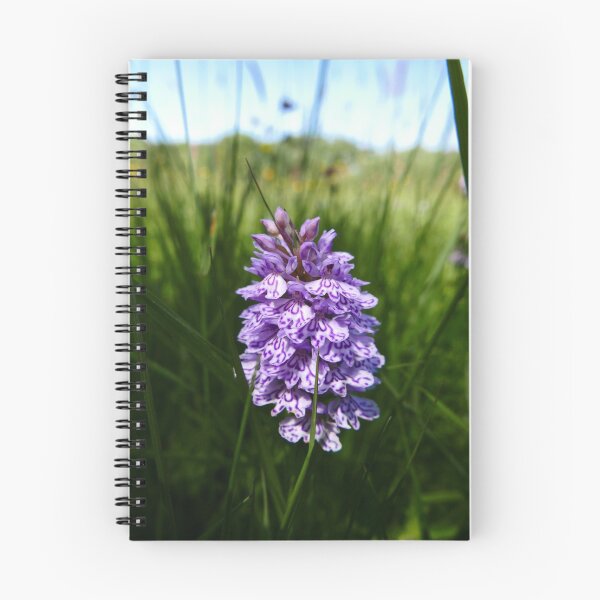 Item preview, Common Spotted Orchid (Dactylorhiza fuchsii) designed and sold by IOMWildFlowers.