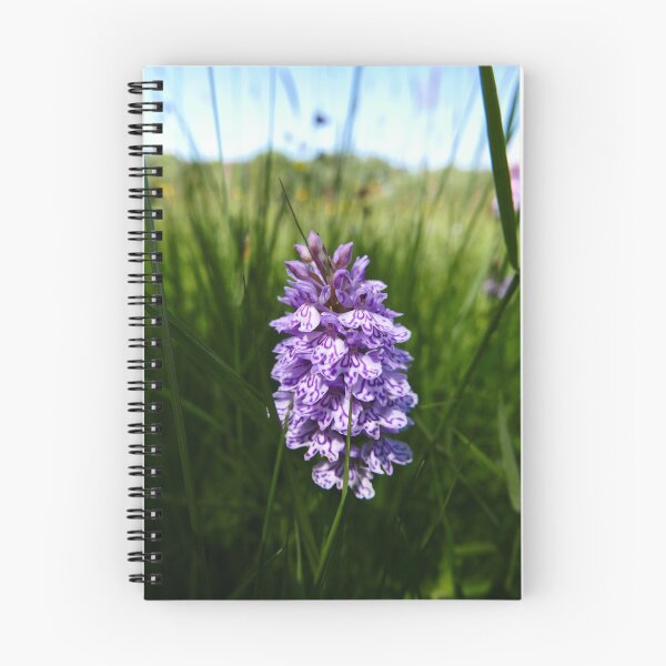 Item preview, Common Spotted Orchid (Dactylorhiza fuchsii) designed and sold by IOMWildFlowers.