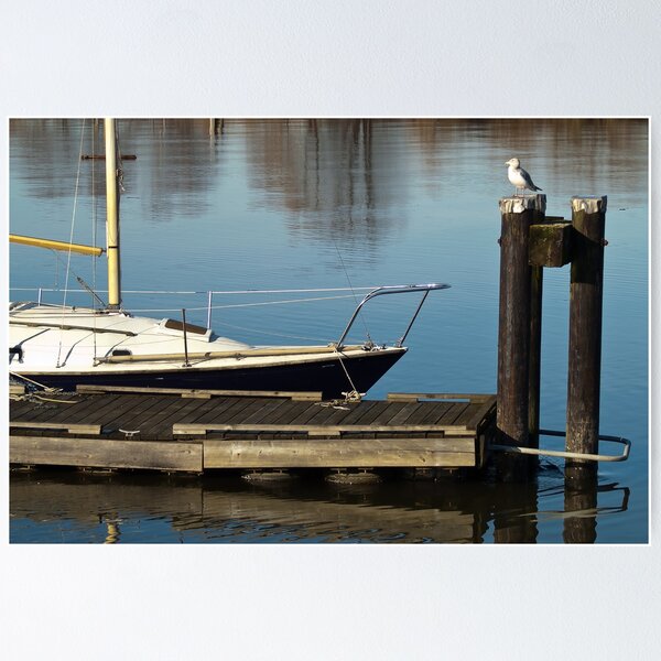 Item preview, Boat & seagull. designed and sold by Aler.