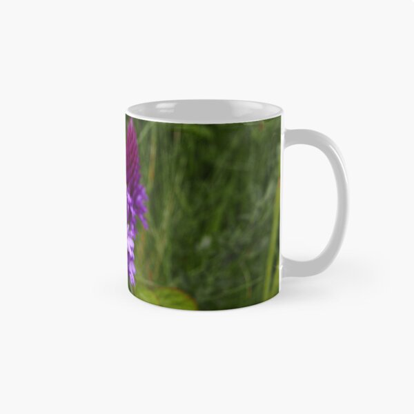 Item preview, Pyramidal Orchid (Anacamptis pyramidalis) designed and sold by IOMWildFlowers.