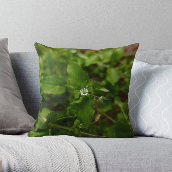 Throw Pillow