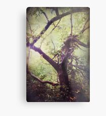 Arms That Reach For Me Wild and Free Metal Print