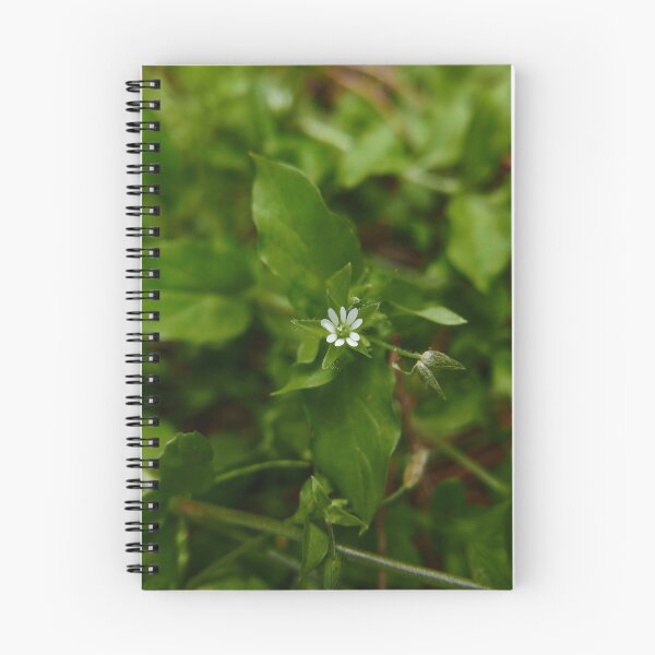 Item preview, Common Chickweed (Stellaria media) designed and sold by IOMWildFlowers.