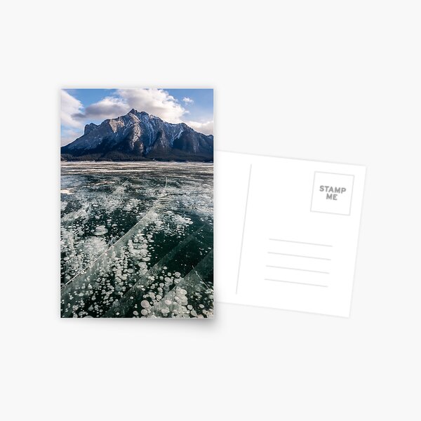 Abraham Lake Bubbles Postcard