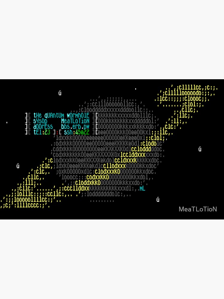 thE qUAntUm wOrmhOlE bbs by MeaTLoTioN