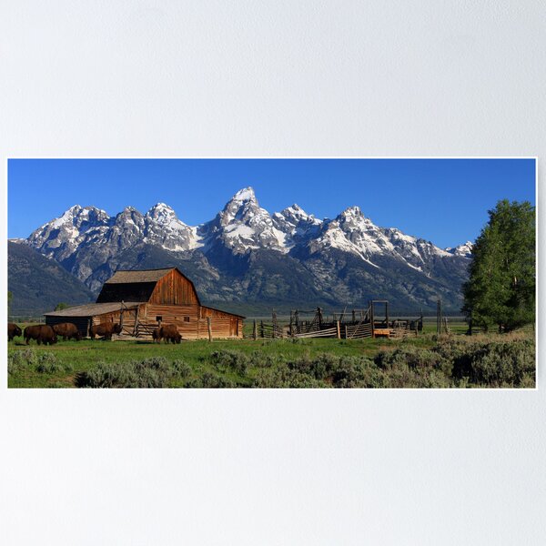 Item preview, Bison At The Barn Panorama designed and sold by David Kocherhans.