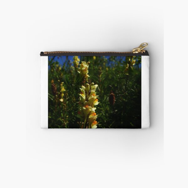 Item preview, Common Toadflax (Linaria vulgaris) designed and sold by IOMWildFlowers.