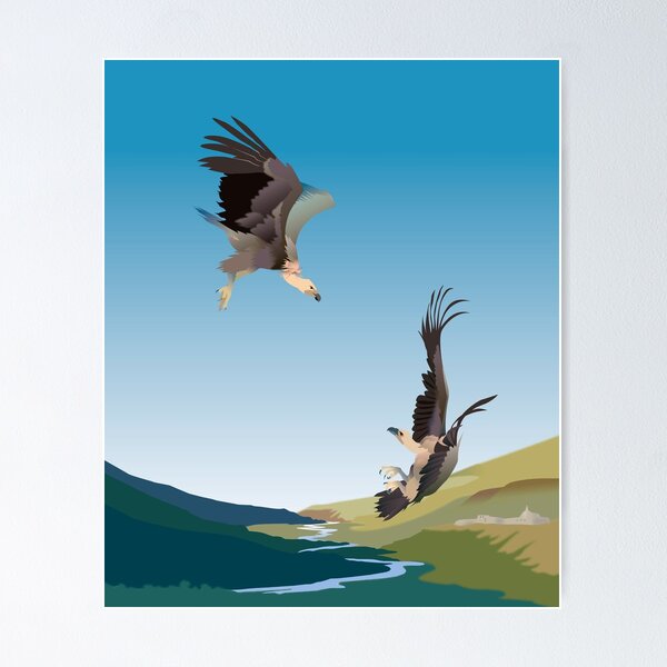 Eagles Poster