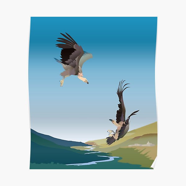 Eagles Poster