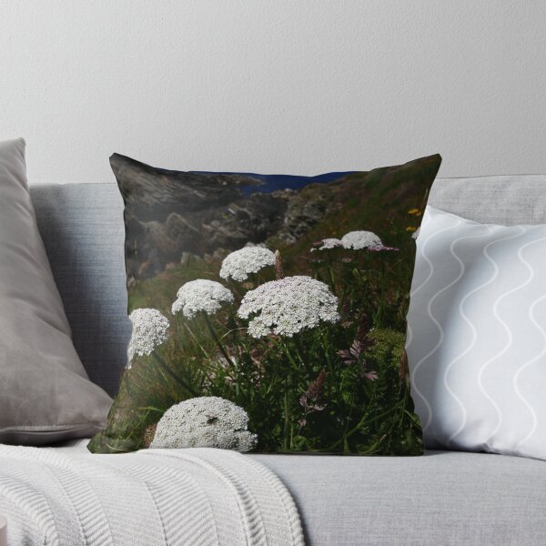 Item preview, Wild Carrot (Daucus carota) designed and sold by IOMWildFlowers.
