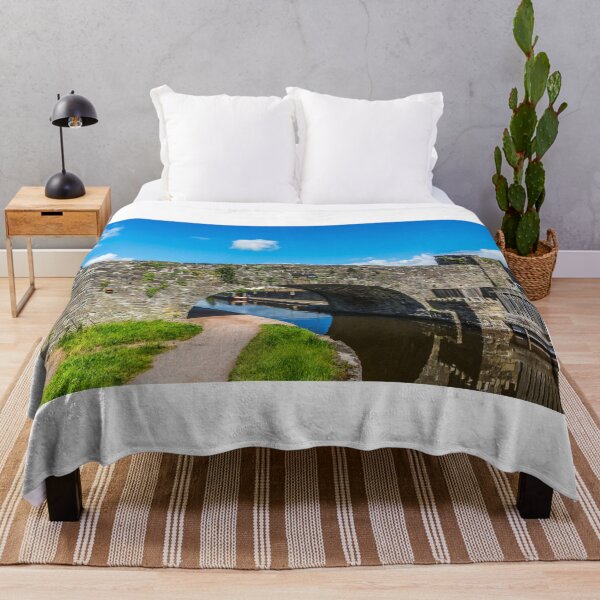 Item preview, Bridge 166 Brecon Canal Basin designed and sold by Steve Purnell Photography.