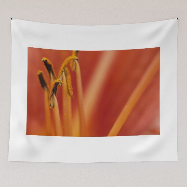 Item preview, Orange Lily Stamens designed and sold by Steve Purnell Photography.
