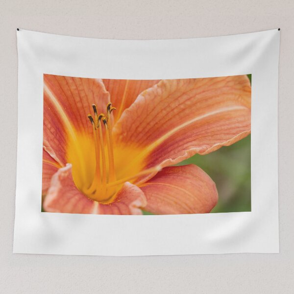 Item preview, Orange Lily Macro designed and sold by Steve Purnell Photography.