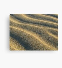 golden sand Canvas Print