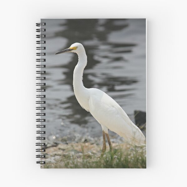 Item preview, Great Egret designed and sold by RoseC.