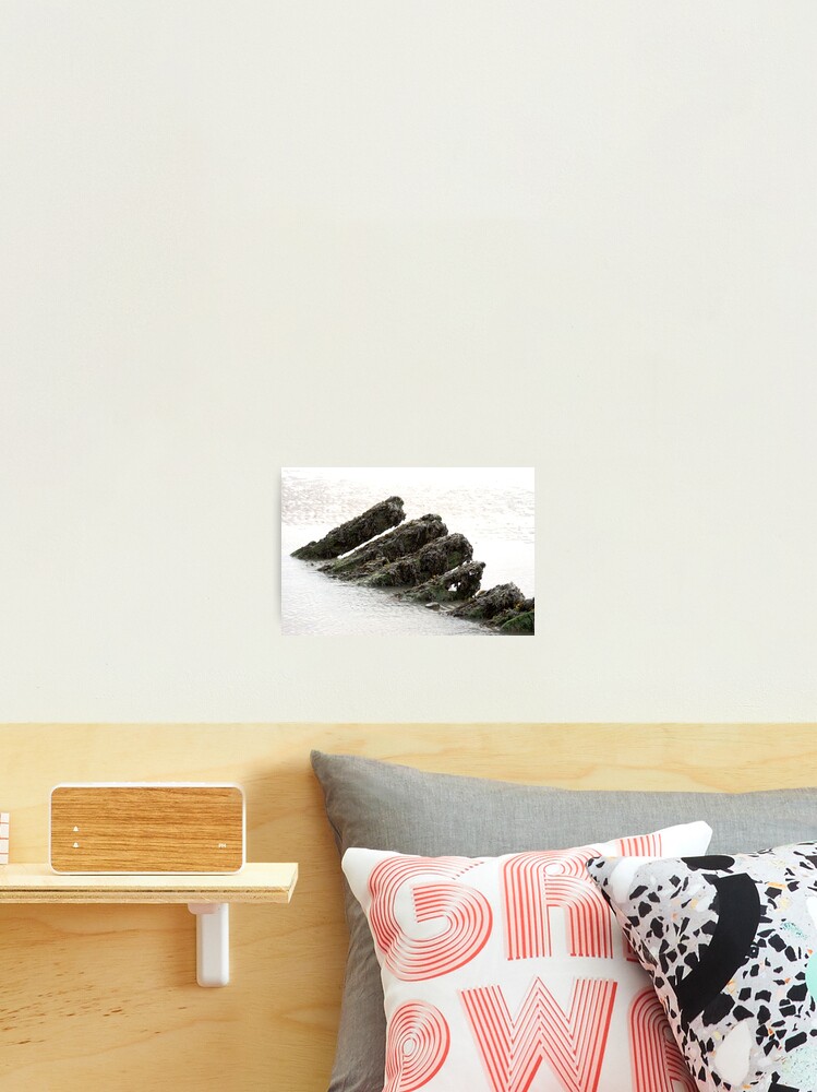 Thumbnail 2 of 3, Photographic Print, Wreck V - Ribs designed and sold by ReesAdams.