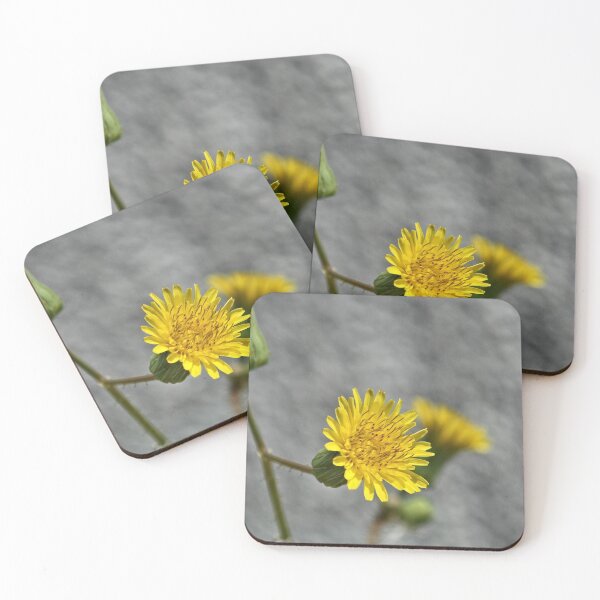 Item preview, NS Be My Sunshine © designed and sold by OmarHernandez.