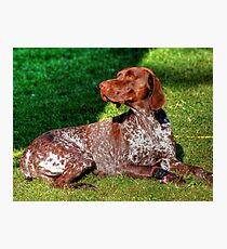 This is Neely Photographic Print