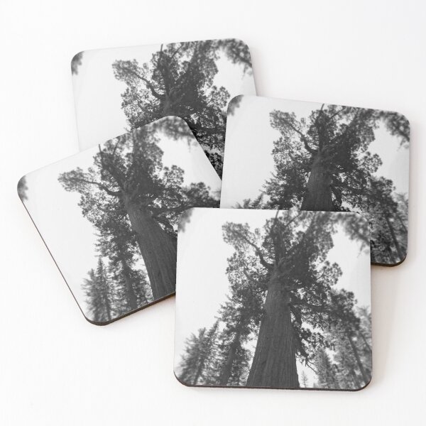 Item preview, Sequoia National Park #3 designed and sold by Rachel Jeffrey.