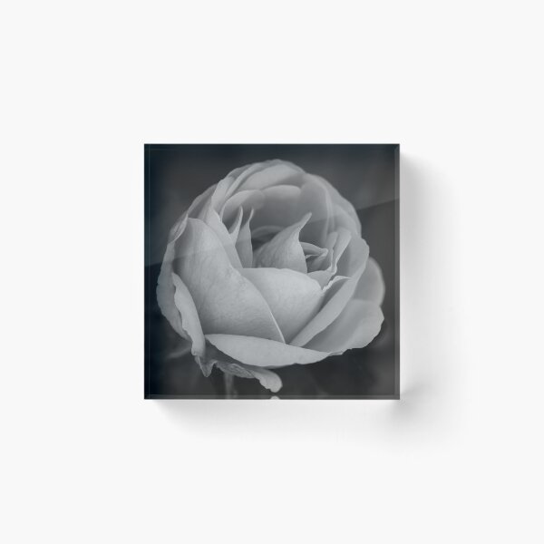 Item preview, Red Rose designed and sold by Alexander Hamm.