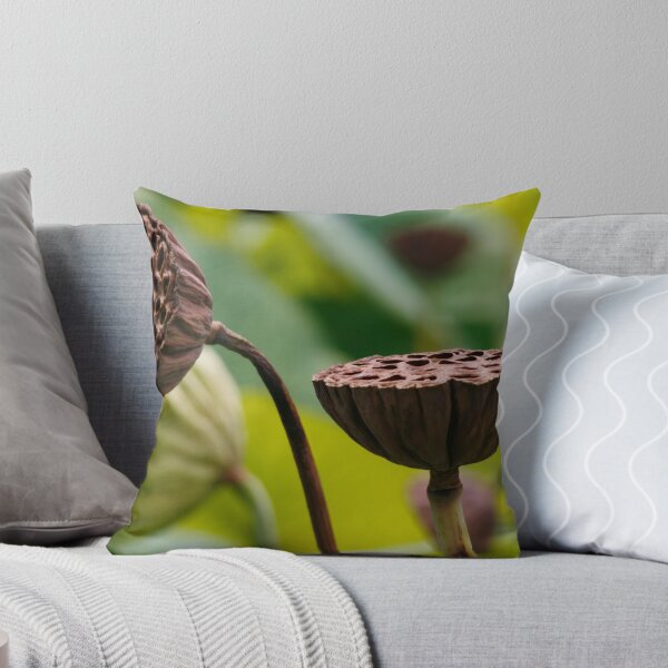 Item preview, Sacred Lotus Pods designed and sold by jwwallace.