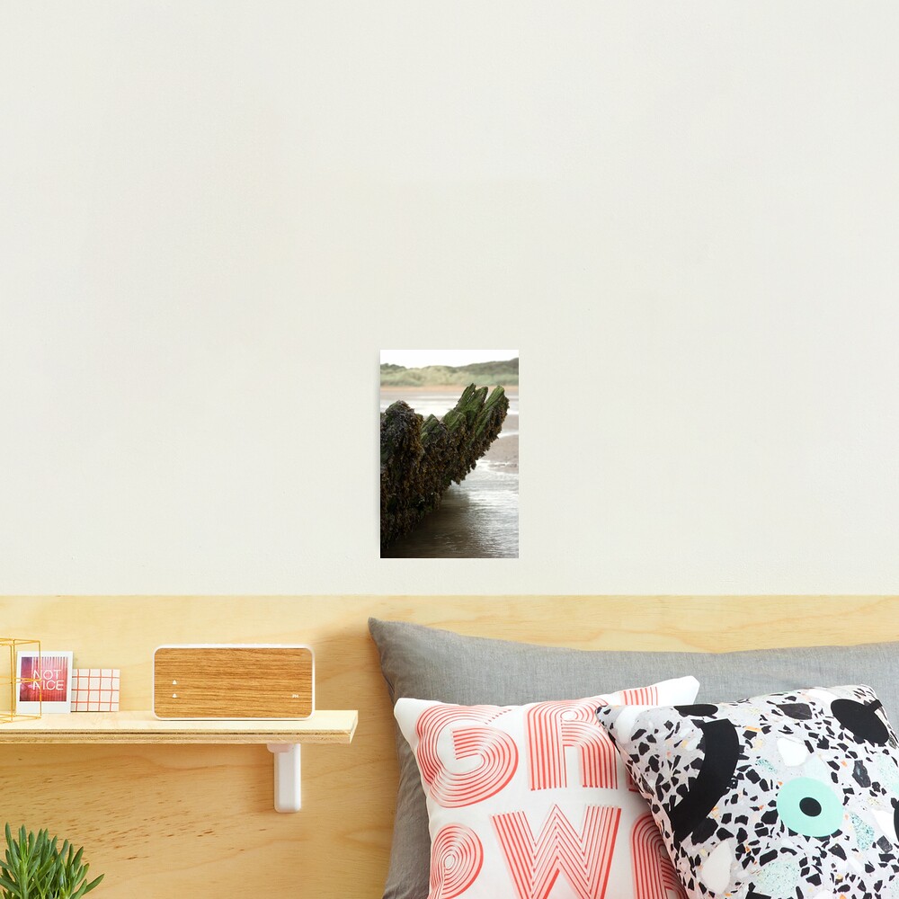 Item preview, Photographic Print designed and sold by ReesAdams.