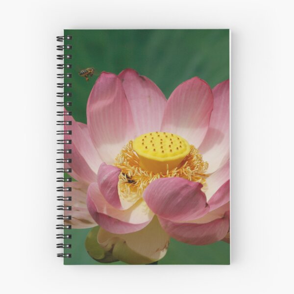 Item preview, Sacred Lotus designed and sold by jwwallace.