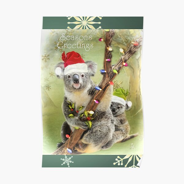 Christmas Koala's Poster