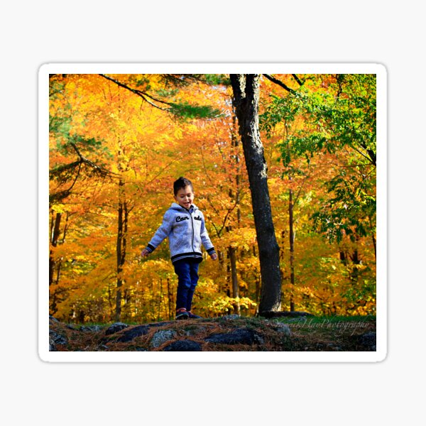 Item preview, Autumn Joy  designed and sold by Yannik Hay.
