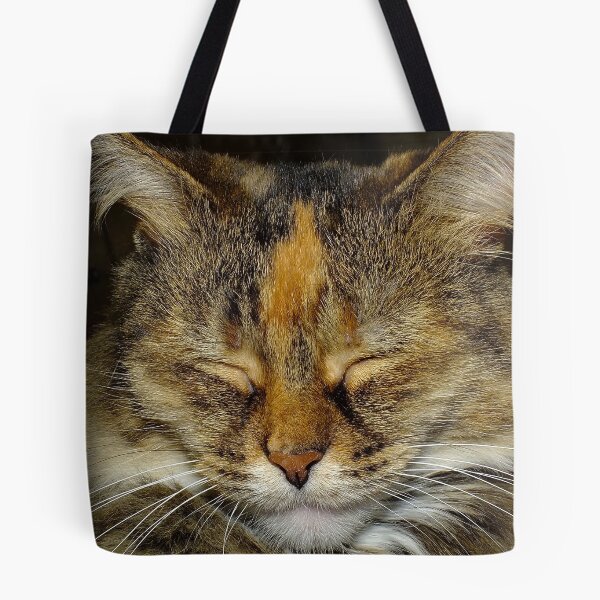 Item preview, Cat Nap designed and sold by Bill Morgenstern.