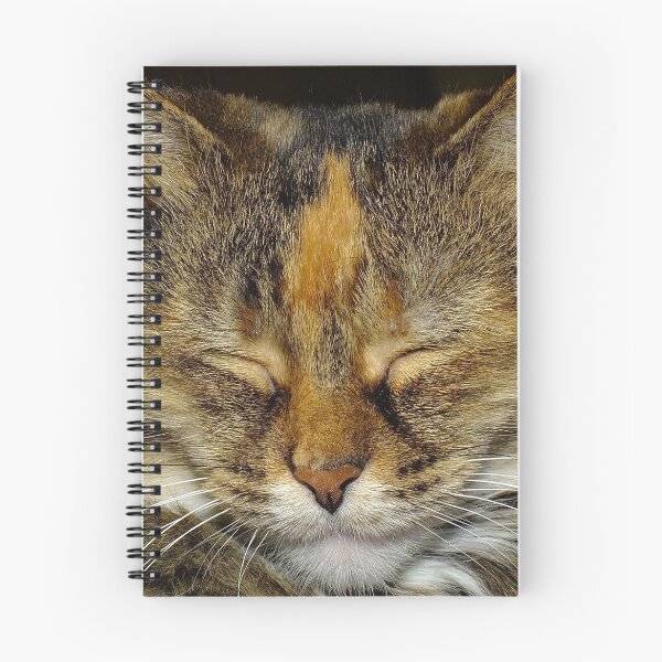 Item preview, Cat Nap designed and sold by Bill Morgenstern.