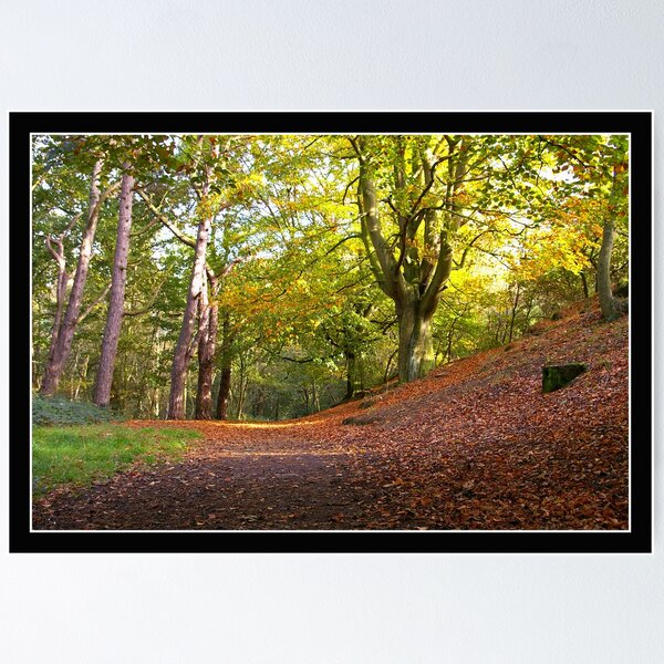 Item preview, Mousehold Autumn designed and sold by Gordon Holmes.