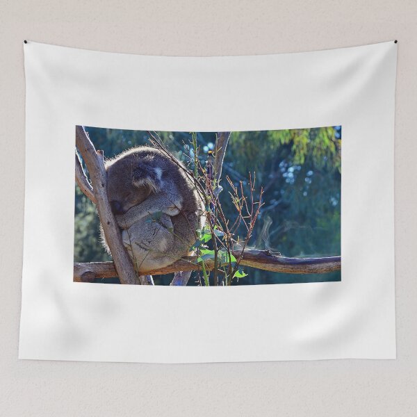 Artikelvorschau, Schläfriger Koala an einem nebligen Morgen entworfen und verkauft von Jassy046.